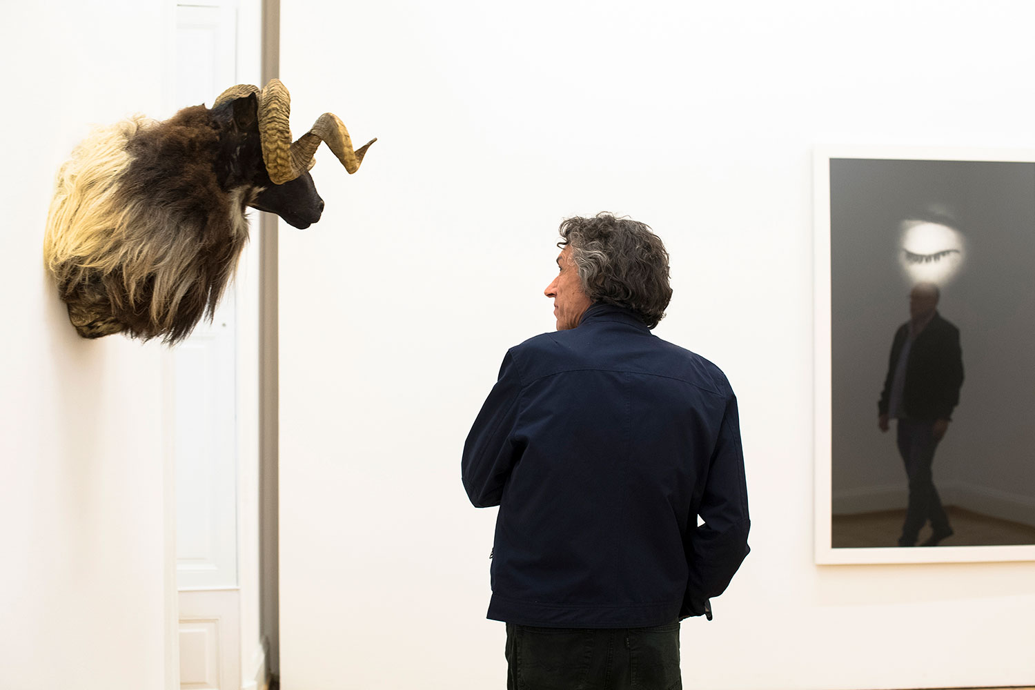 Kunstmuseum-Sophie-Calle_Ausstellung.jpg