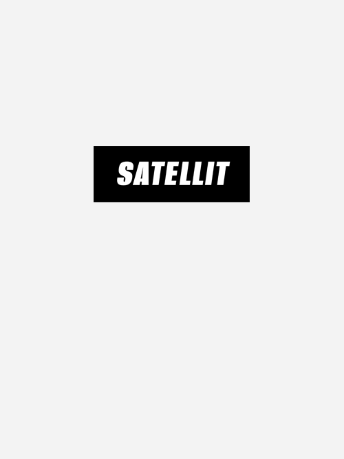 Satellit_vorschau-hoch.png